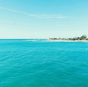 Meet your Posher, Duane